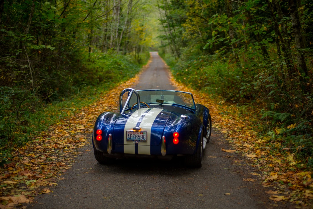 Shelby Cobra Replica - Image 12 of 31