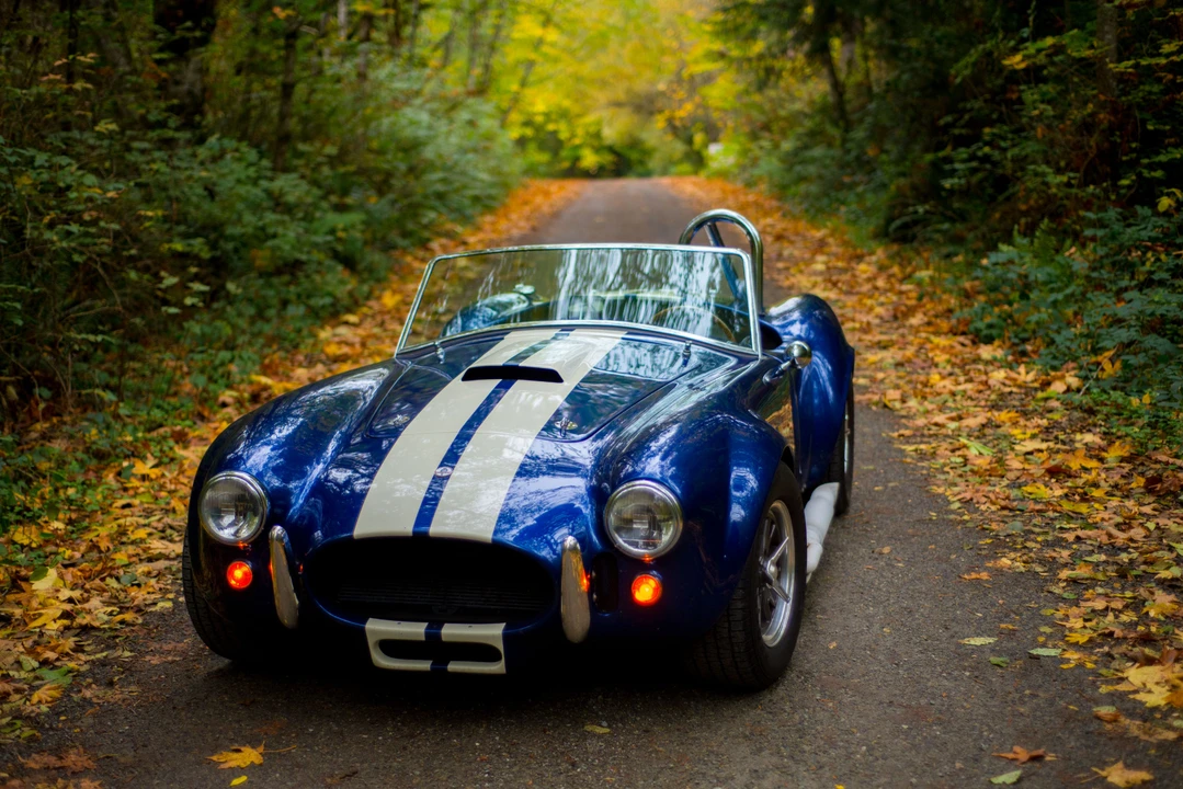 Shelby Cobra Replica - Image 2 of 31