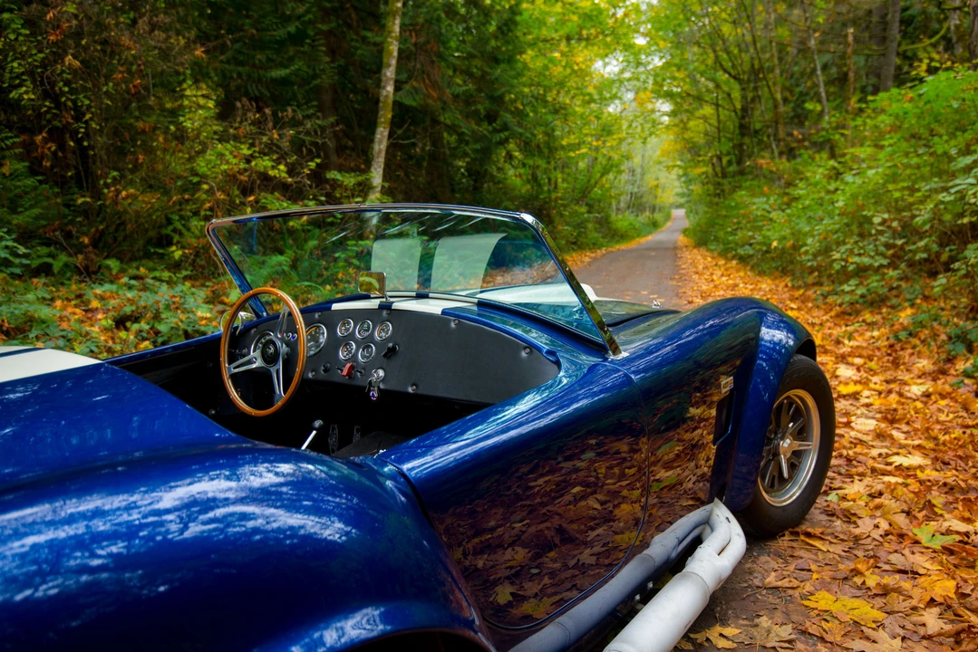 Shelby Cobra Replica - Image 17 of 31
