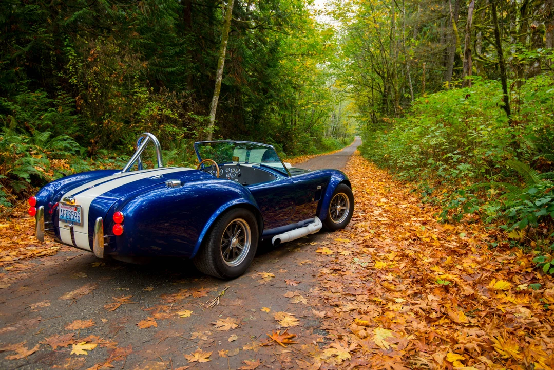 Shelby Cobra Replica - Image 16 of 31
