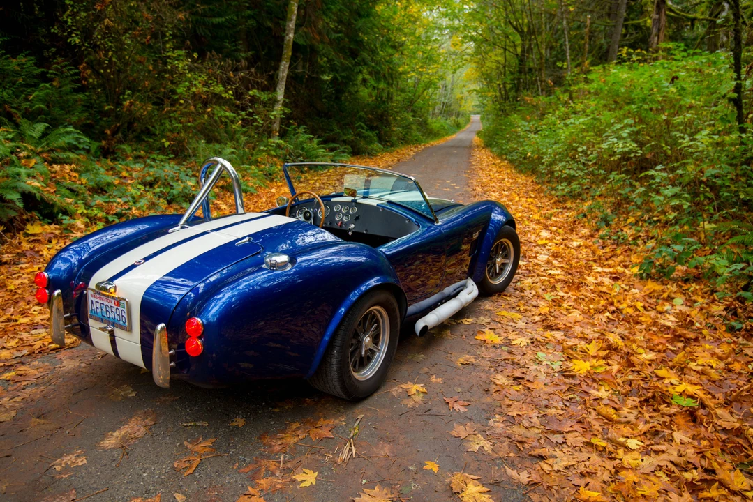 Shelby Cobra Replica - Image 15 of 31