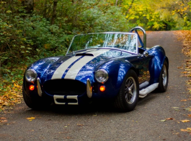 Shelby Cobra Replica - Image 3 of 31