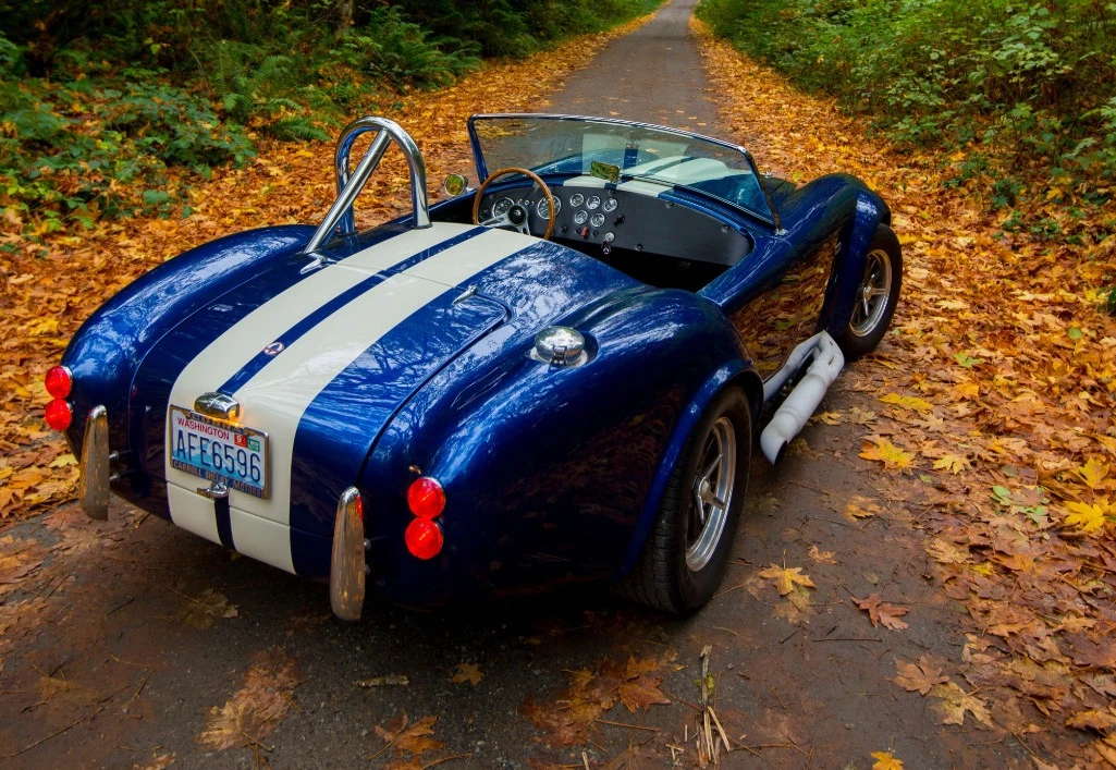 Shelby Cobra Replica - Image 14 of 31