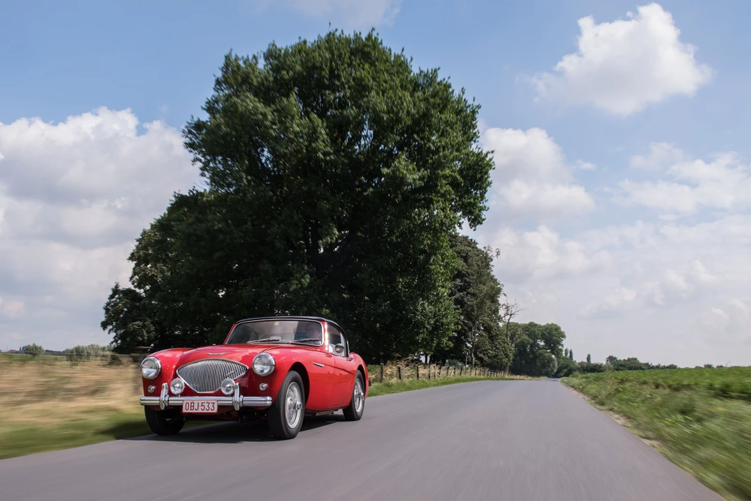1955 Austin-Healey 100 - Image 2 of 31