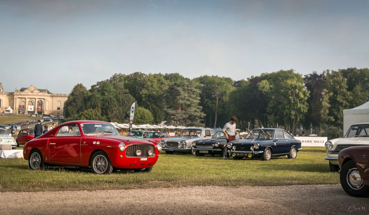 1955 Fiat 1100 - Image 3 of 23