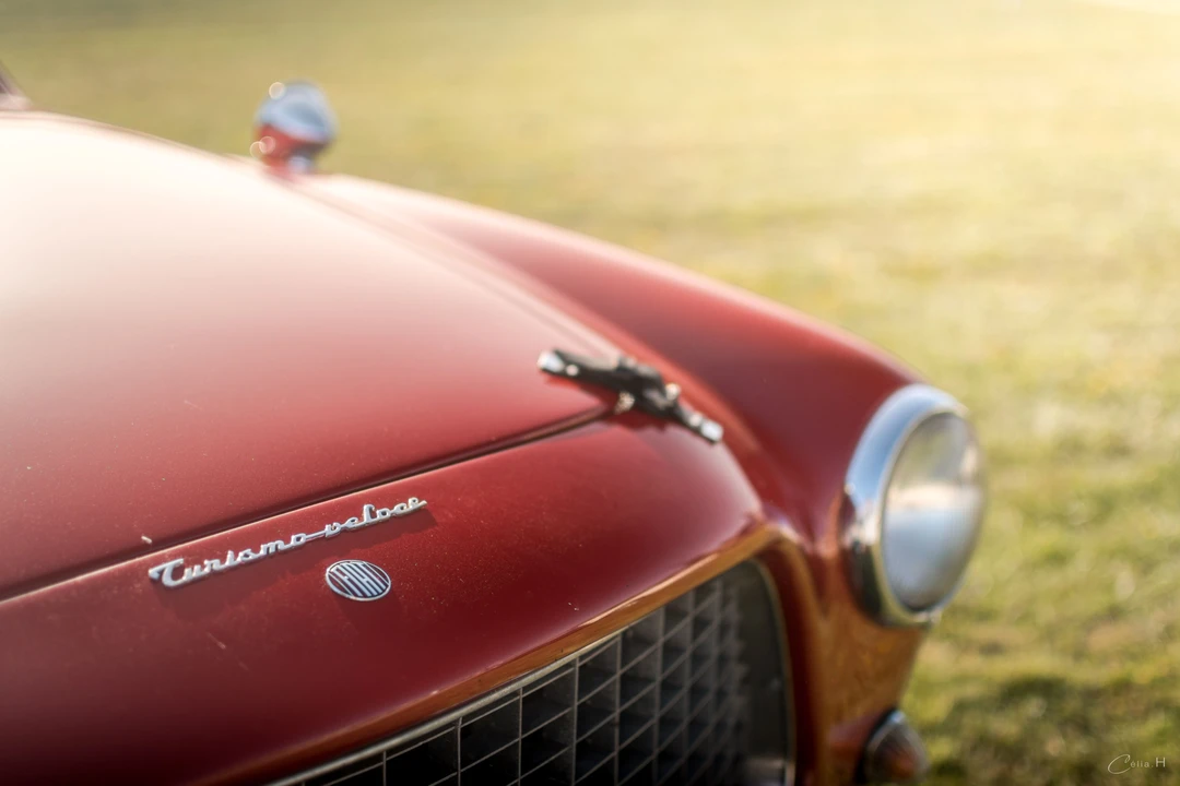 1955 Fiat 1100 - Image 23 of 23