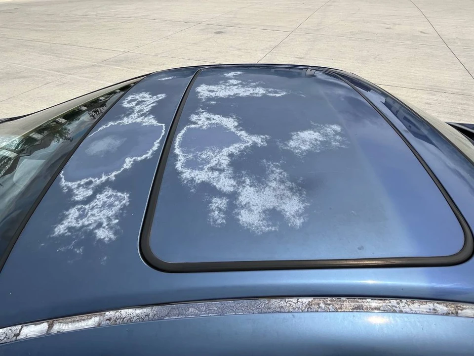 1992 Honda Prelude 4th Gen - Image 6 of 24
