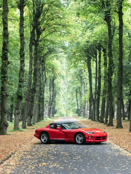 1992 Dodge Viper 1st Gen - Image 11 of 20
