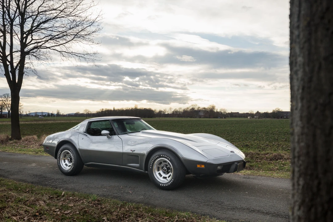 1978 Chevrolet Corvette C3 - Image 8 of 28