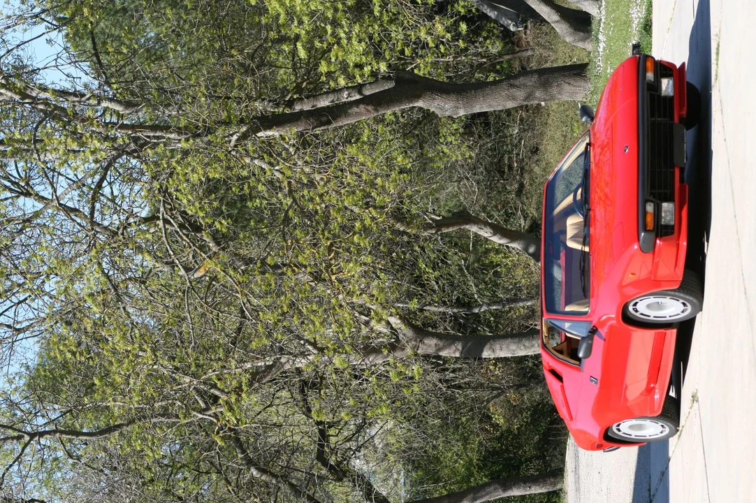 9000 Lamborghini Jalpa - Image 15 of 21