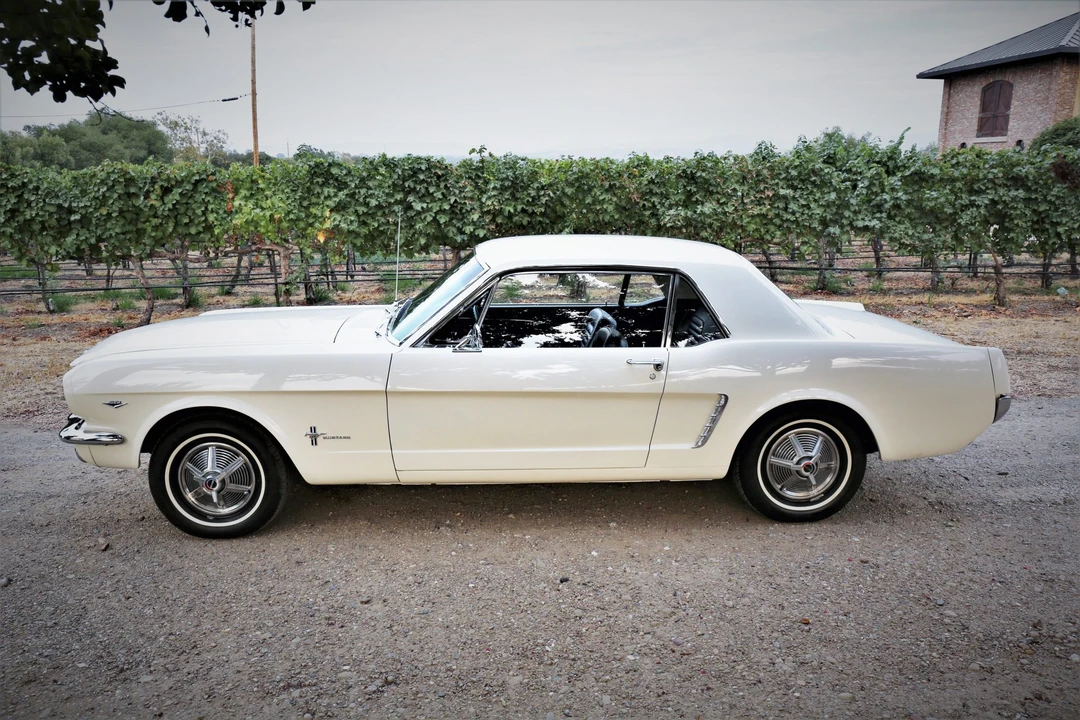 1965 Ford Mustang 1st Gen (1964.5-1966) - Image 15 of 31