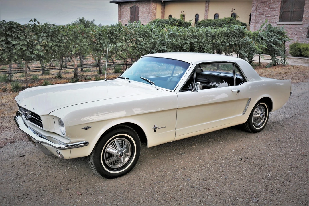 1965 Ford Mustang 1st Gen (1964.5-1966) - Image 16 of 31
