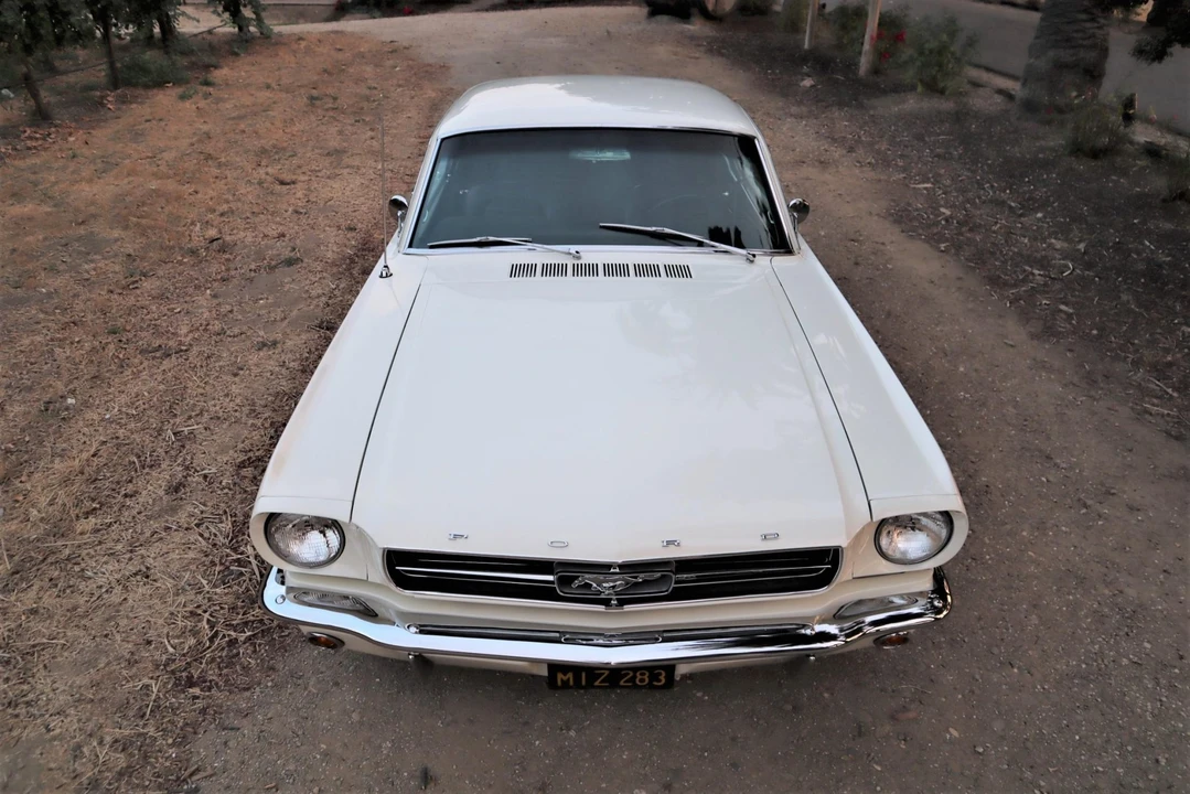 1965 Ford Mustang 1st Gen (1964.5-1966) - Image 29 of 31
