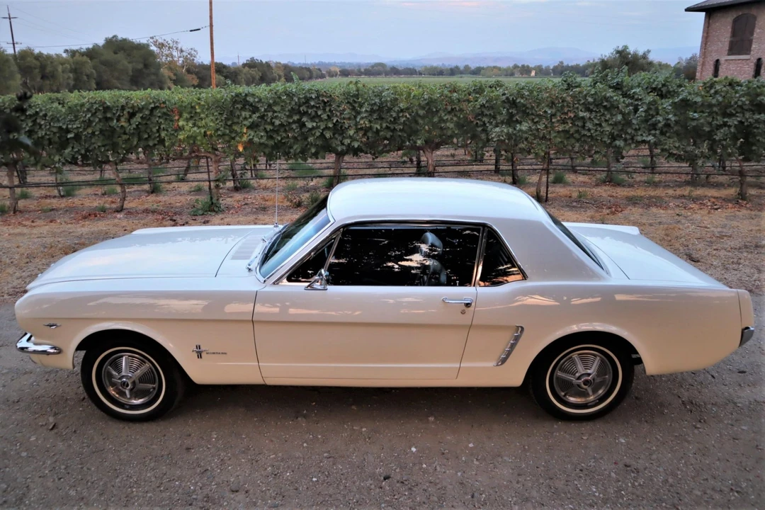 1965 Ford Mustang 1st Gen (1964.5-1966) - Image 31 of 31