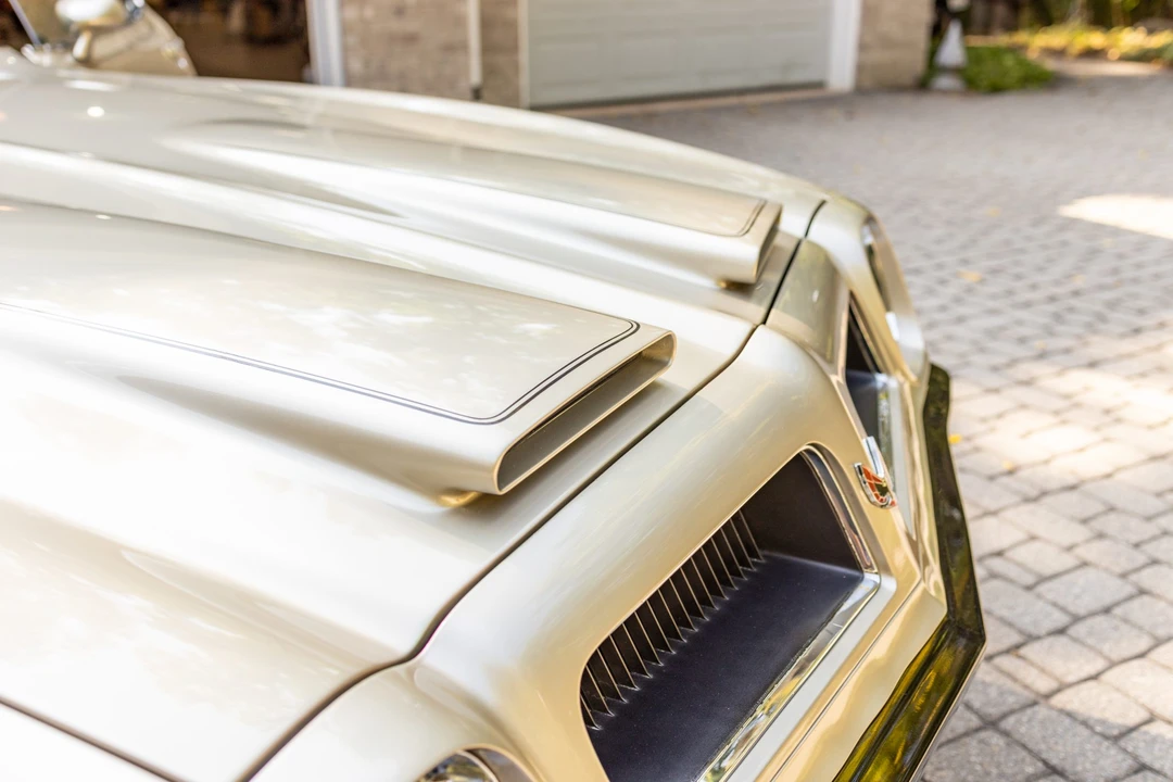 1974 Pontiac Firebird 2nd Gen - Image 15 of 31