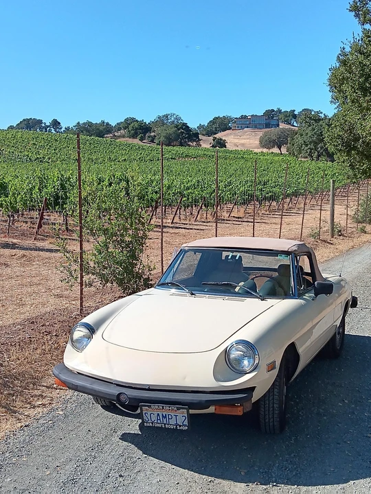 1979 Alfa Romeo Series 2 - Image 24 of 31