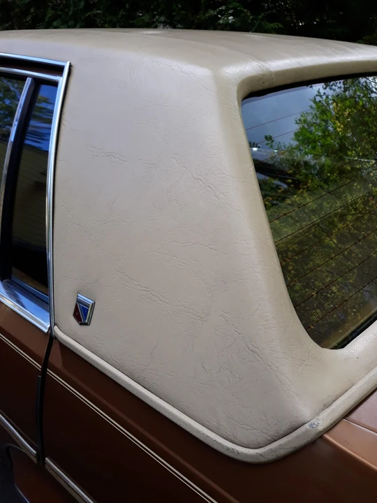 1979 Buick Electra - Image 25 of 31