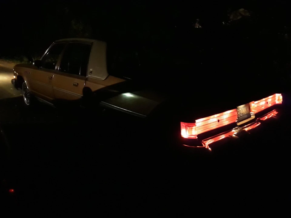 1979 Buick Electra - Image 22 of 31