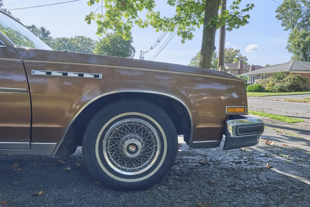 1979 Buick Electra - Image 17 of 31