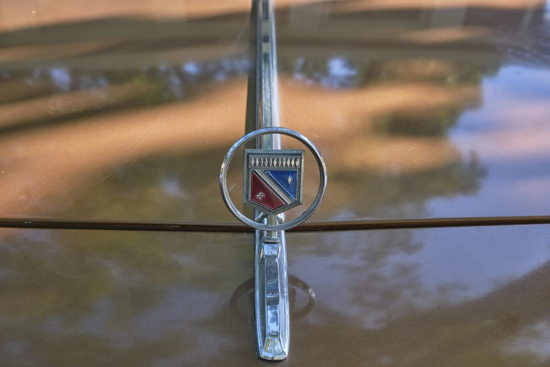1979 Buick Electra - Image 30 of 31