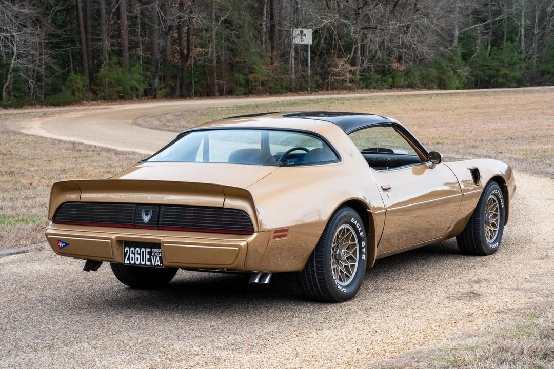 1981 Pontiac Firebird Trans Am 2nd Gen - Image 14 of 31