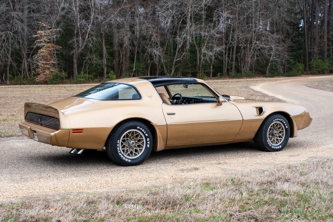 1981 Pontiac Firebird Trans Am 2nd Gen - Image 13 of 31