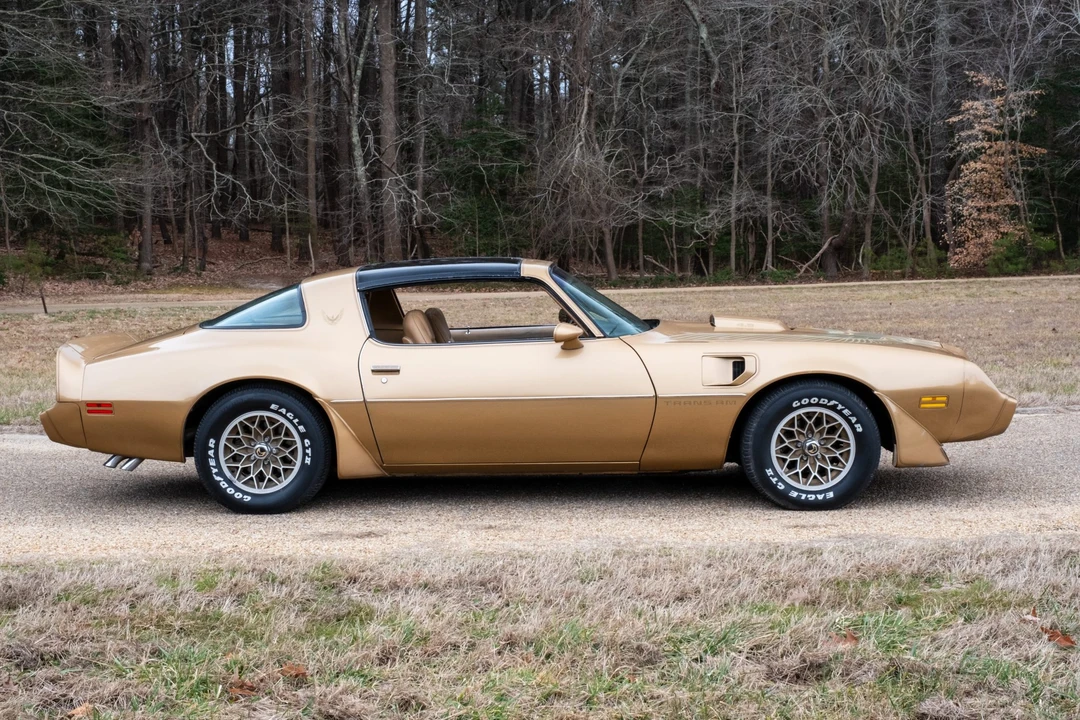 1981 Pontiac Firebird Trans Am 2nd Gen - Image 11 of 31