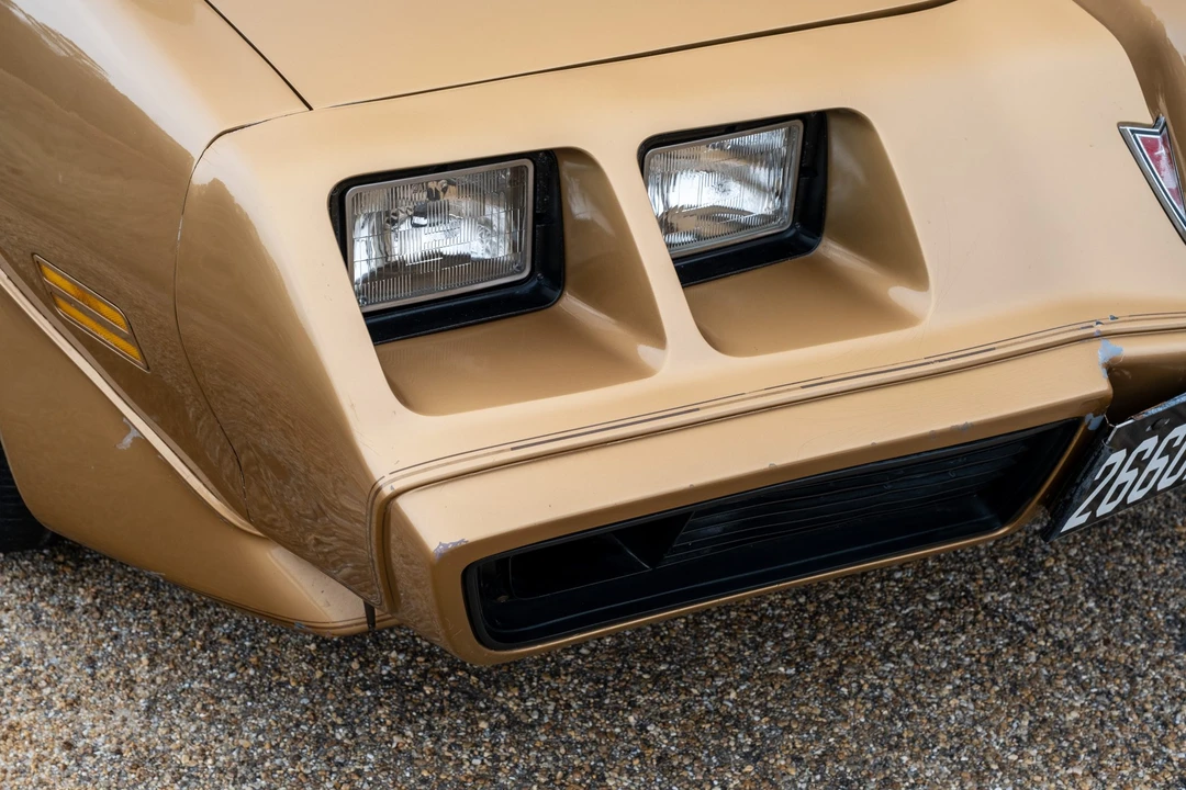 1981 Pontiac Firebird Trans Am 2nd Gen - Image 30 of 31