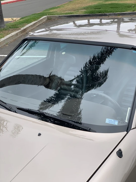 1984 Porsche 944 - Image 11 of 31
