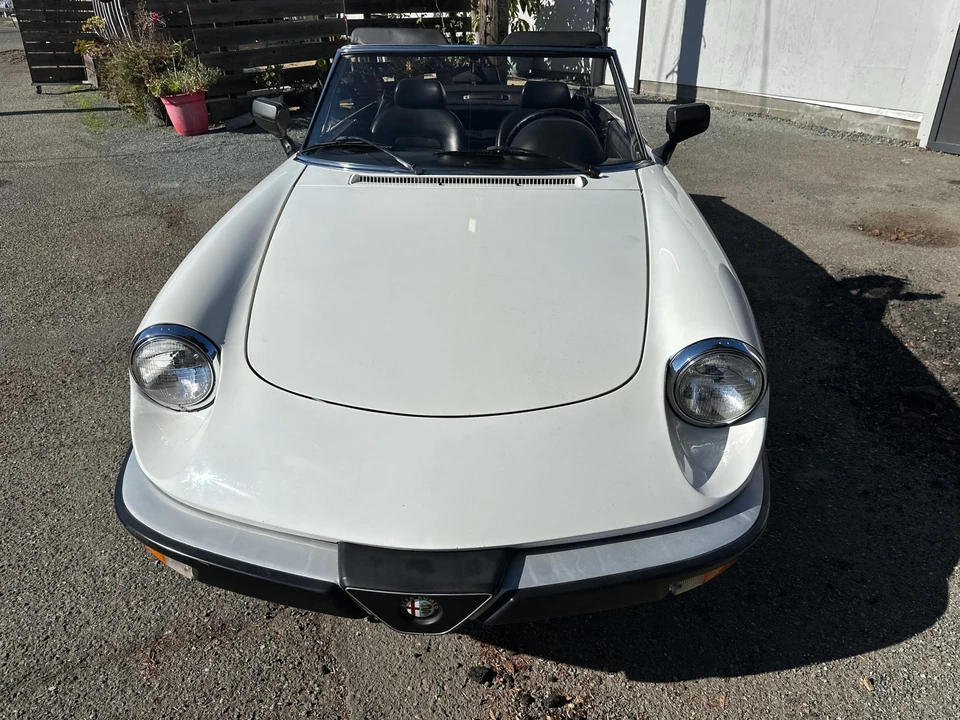 1986 Alfa Romeo Series 3 - Image 23 of 31
