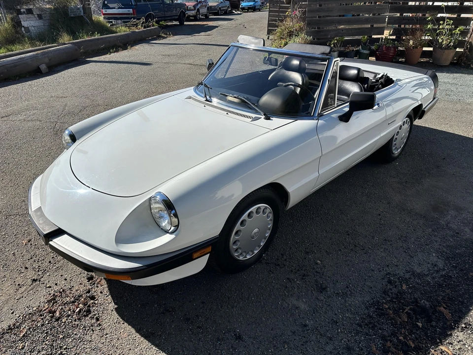 1986 Alfa Romeo Series 3 - Image 5 of 31