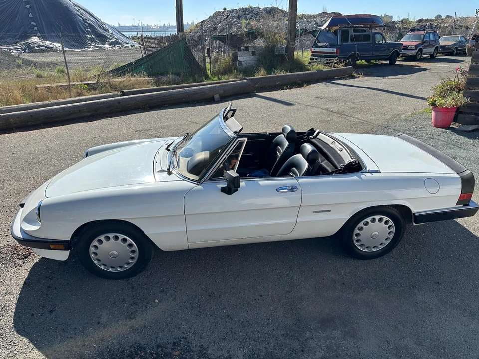 1986 Alfa Romeo Series 3 - Image 6 of 31