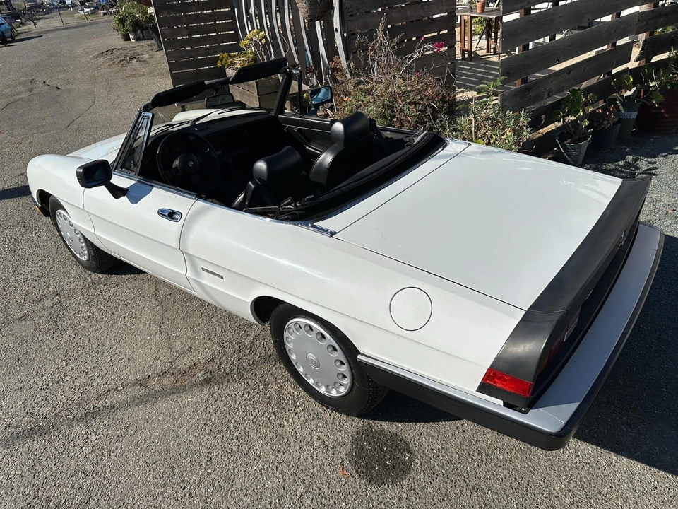 1986 Alfa Romeo Series 3 - Image 11 of 31
