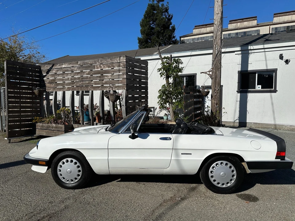 1986 Alfa Romeo Series 3 - Image 7 of 31