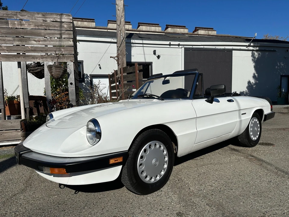 1986 Alfa Romeo Series 3 - Image 2 of 31