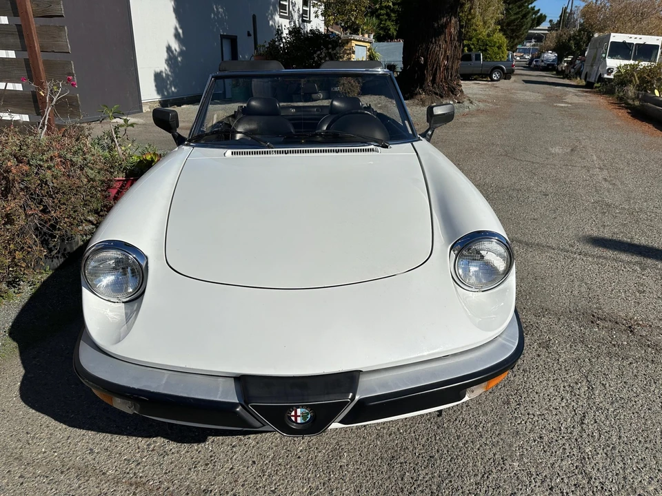 1986 Alfa Romeo Series 3 - Image 22 of 31