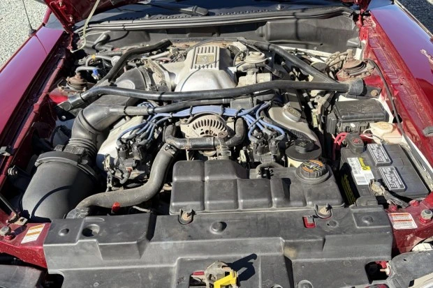 1997 Ford SN95 Mustang Cobra - Image 6 of 7