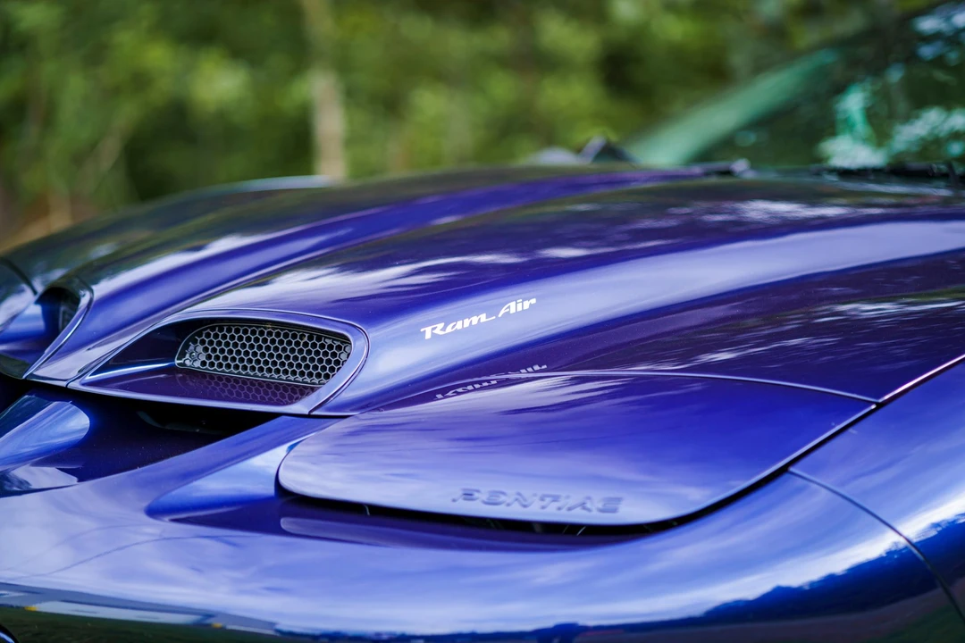 2001 Pontiac Firebird Trans Am 4th Gen - Image 15 of 31