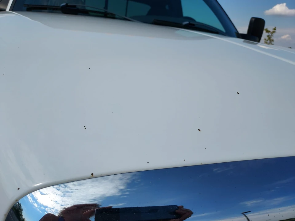2002 Dodge Ram 3rd Gen - Image 17 of 31