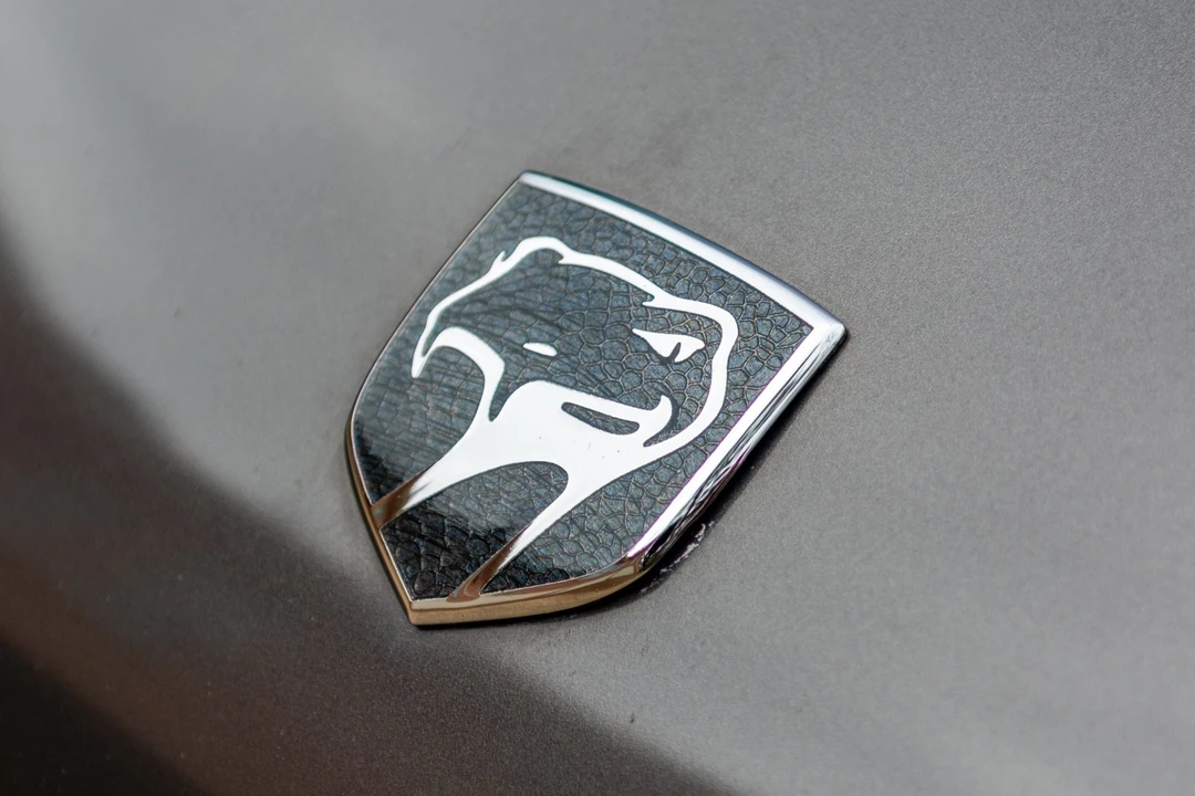 2002 Dodge Viper GTS 2nd Gen - Image 16 of 31