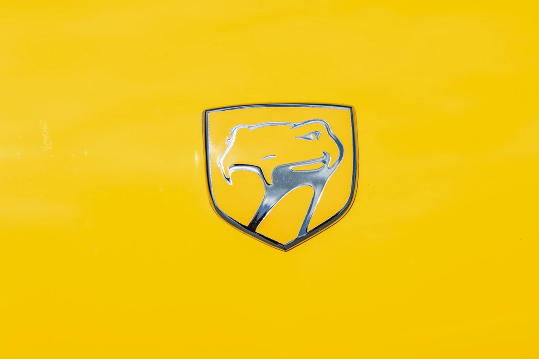 2002 Dodge Viper 2nd Gen - Image 31 of 31
