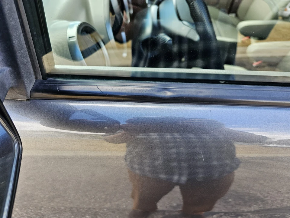 2010 Honda Element - Image 30 of 31
