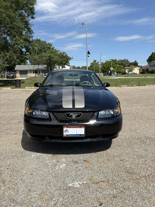 2004 Ford SN95 Mustang - Image 2 of 31