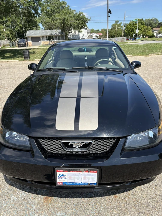 2004 Ford SN95 Mustang - Image 11 of 31