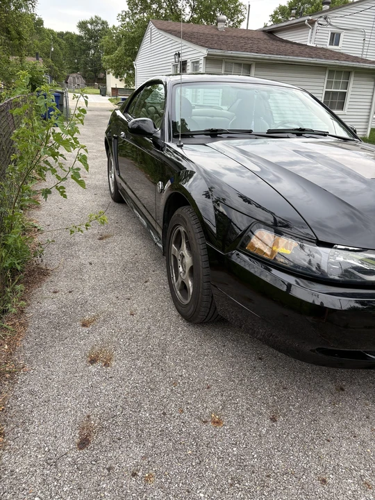 2004 Ford SN95 Mustang - Image 12 of 31