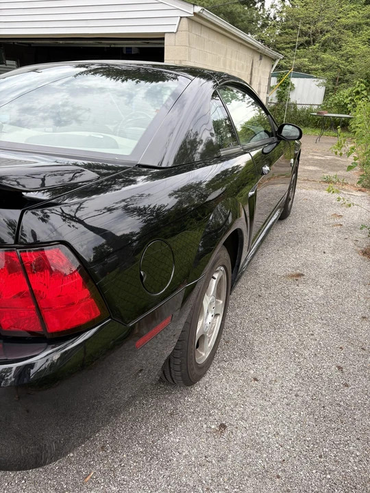 2004 Ford SN95 Mustang - Image 14 of 31