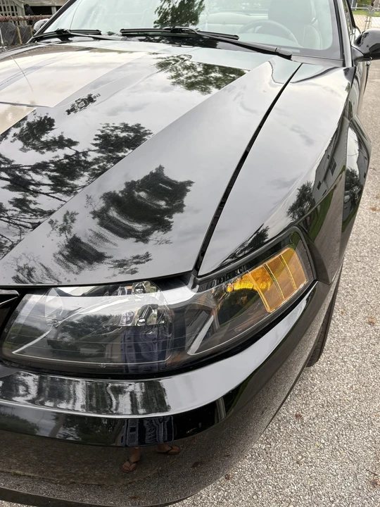 2004 Ford SN95 Mustang - Image 18 of 31
