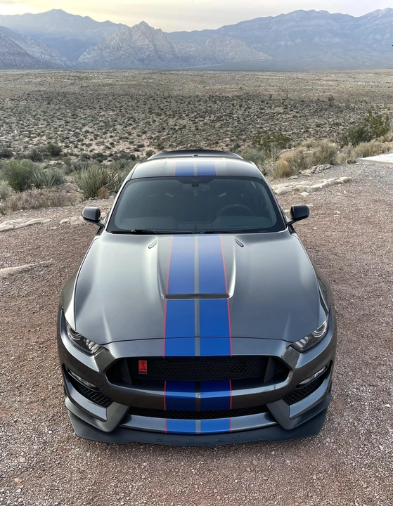 2017 Ford S550 Shelby Mustang GT350R - Image 25 of 31