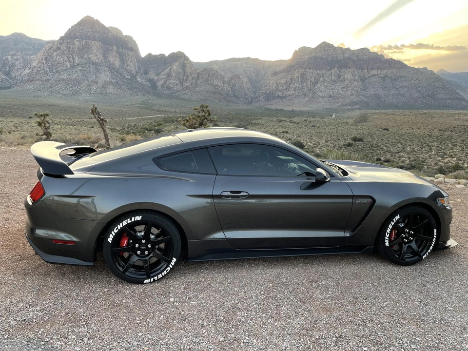 2017 Ford S550 Shelby Mustang GT350R - Image 19 of 31