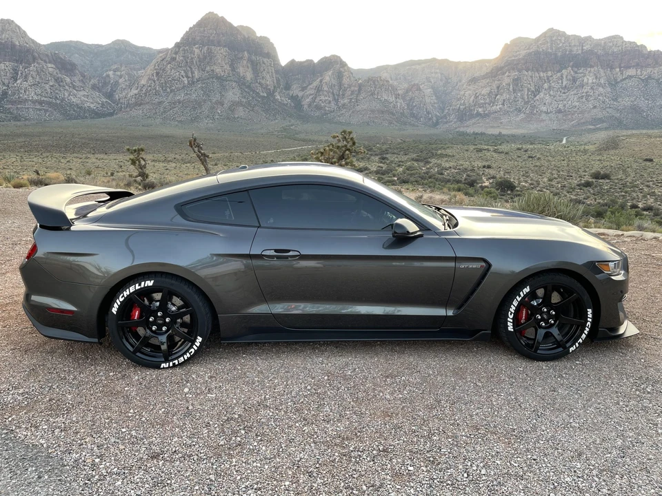 2017 Ford S550 Shelby Mustang GT350R - Image 20 of 31